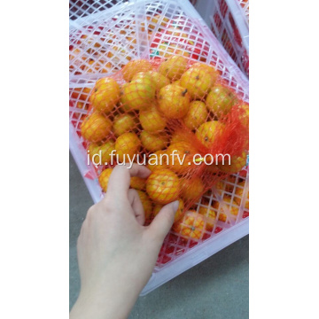 Mandarin bayi segar dengan harga terbaik